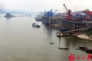 港口码头 船舶穿梭与货物搬运的繁忙交响曲